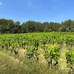 13 Personnes - 1 Hectare De Parc Naturel - Piscine *