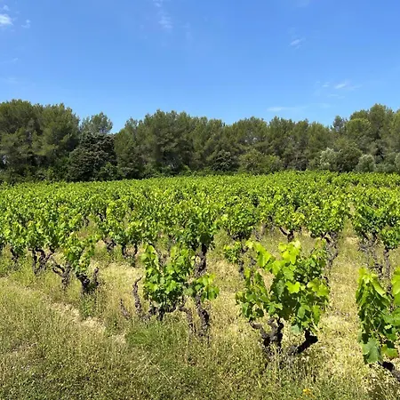 13 Personnes - 1 Hectare De Parc Naturel - Piscine *