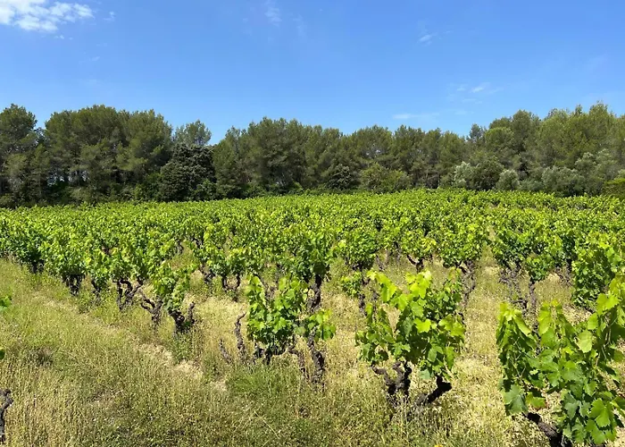 13 Personnes - 1 Hectare De Parc Naturel - Piscine *